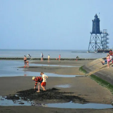 De Leuchtviol * ヴルスター・ノルトゼーキュステ