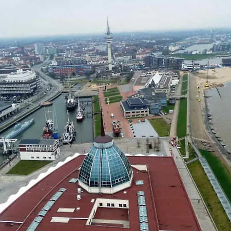 De Leuchtviol Apartament